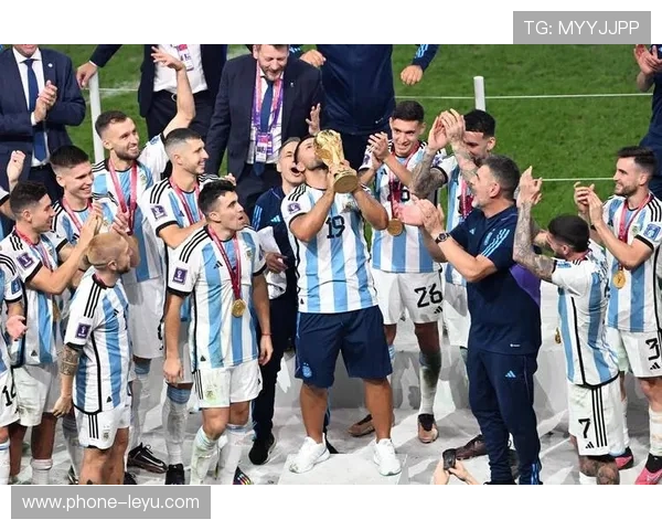 在大力神杯下卢卡库与伊布射门集中度偏移