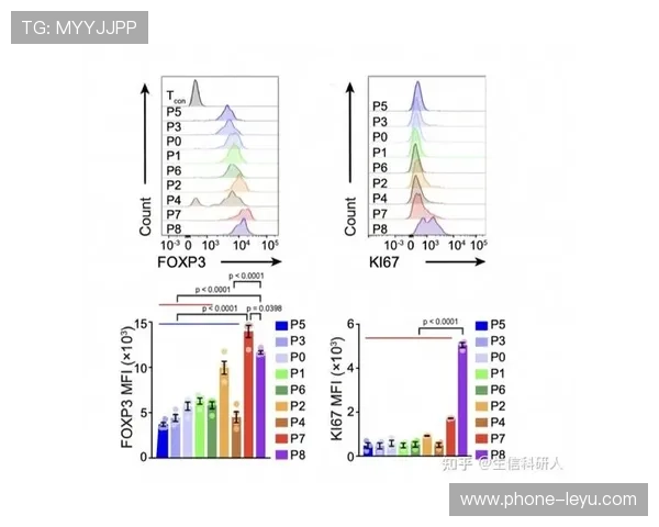 巴斯托尼：对比德利赫特——技术型与对抗型路径分化